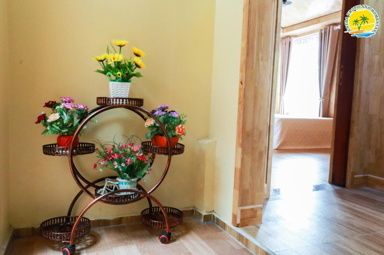 Cat Ba Tropicana Homestay Cat Ba Island Ngoại thất bức ảnh