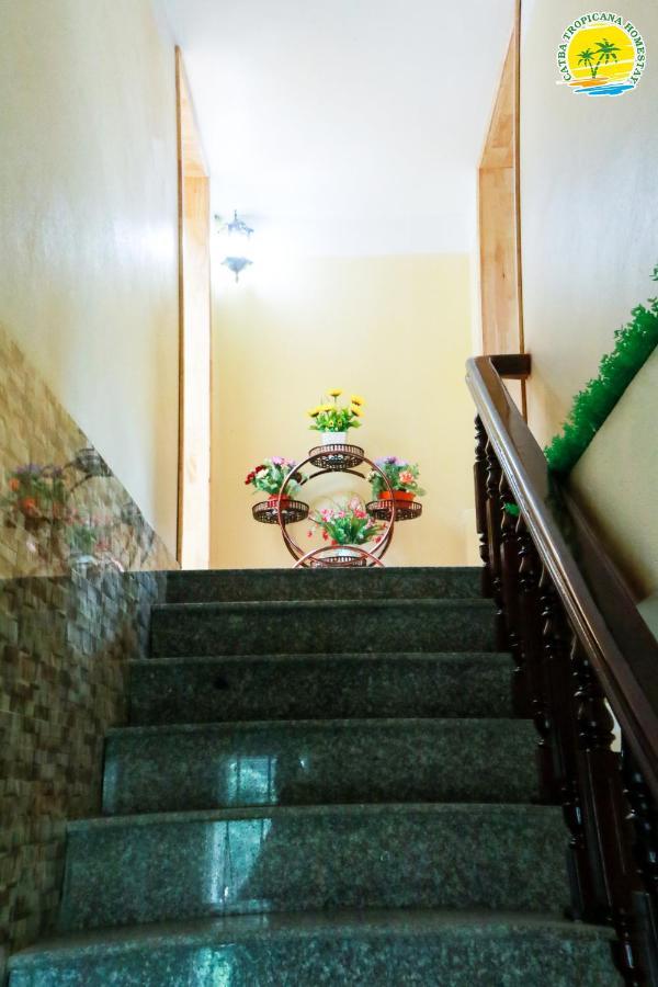 Cat Ba Tropicana Homestay Cat Ba Island Ngoại thất bức ảnh